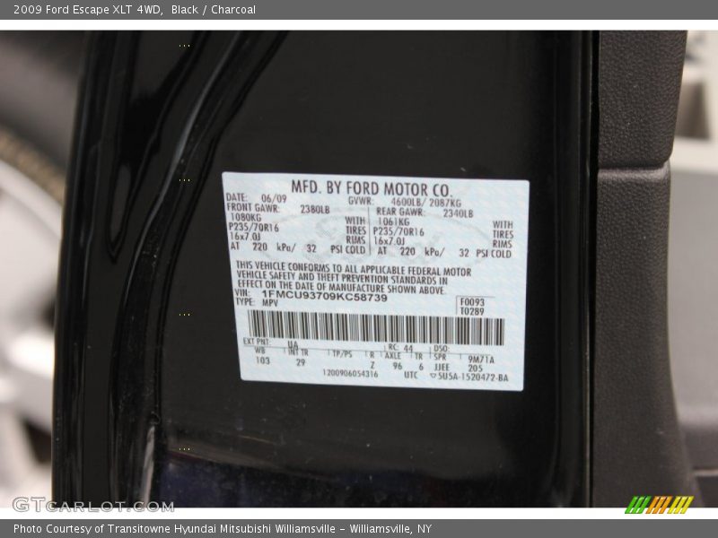 Black / Charcoal 2009 Ford Escape XLT 4WD