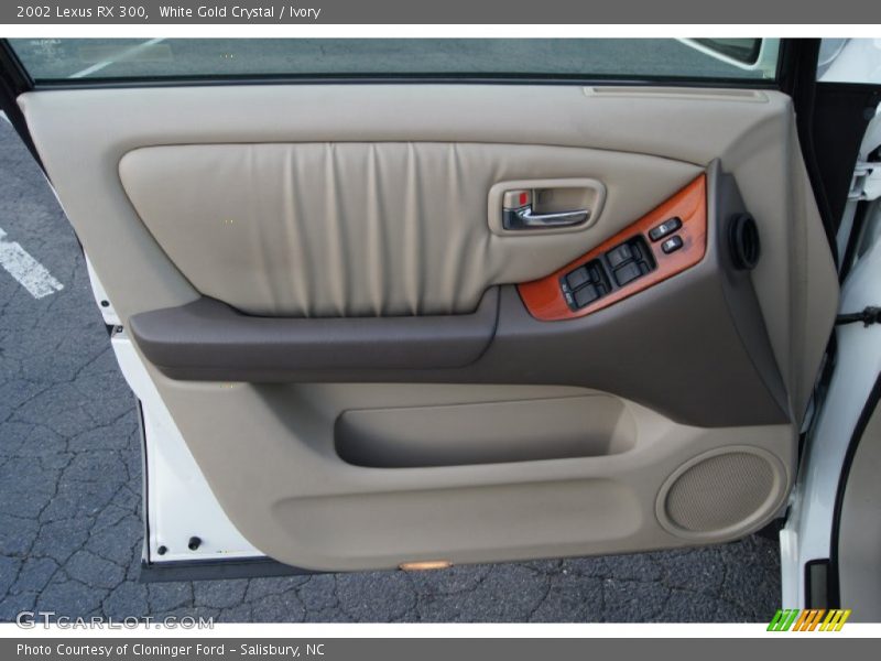 Door Panel of 2002 RX 300