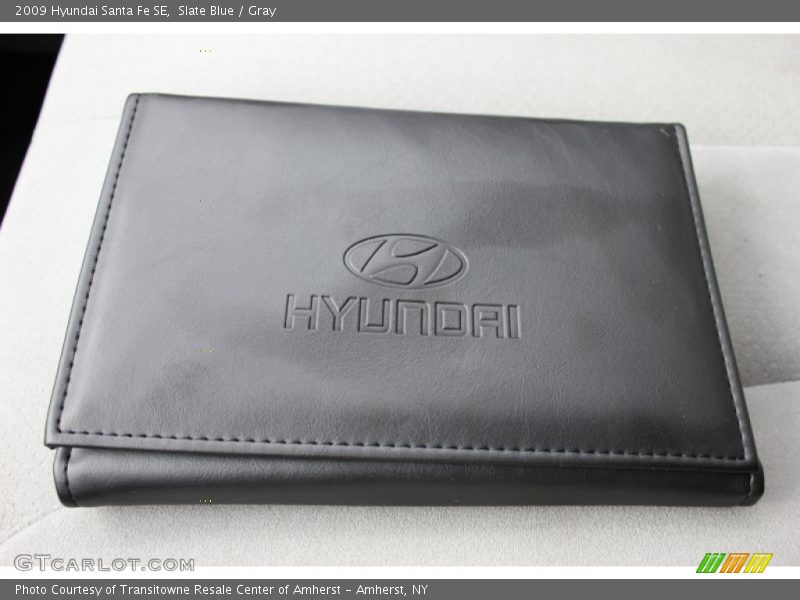 Slate Blue / Gray 2009 Hyundai Santa Fe SE