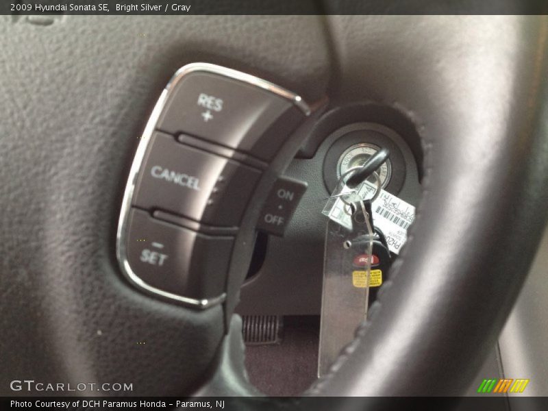Bright Silver / Gray 2009 Hyundai Sonata SE