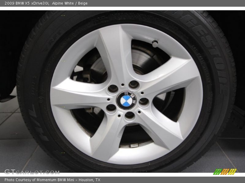 Alpine White / Beige 2009 BMW X5 xDrive30i