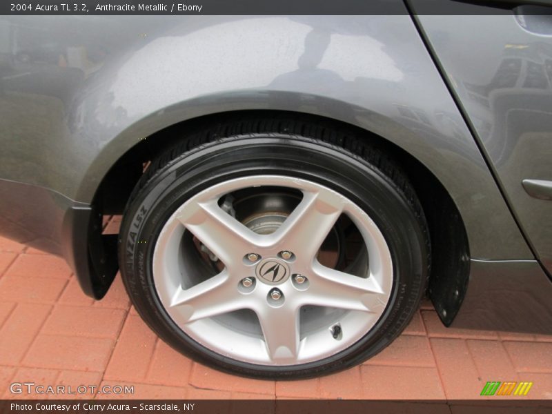 Anthracite Metallic / Ebony 2004 Acura TL 3.2