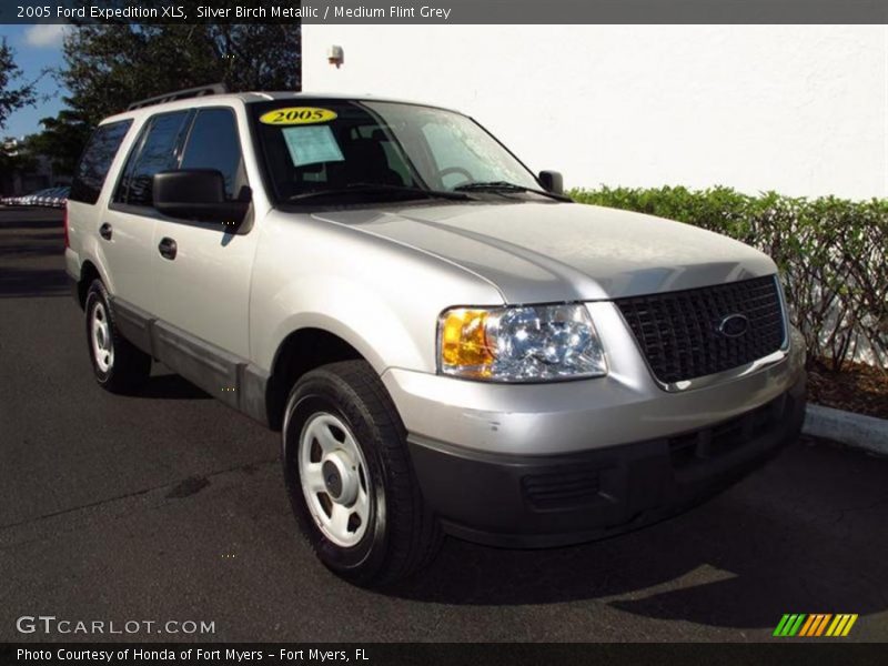 Silver Birch Metallic / Medium Flint Grey 2005 Ford Expedition XLS