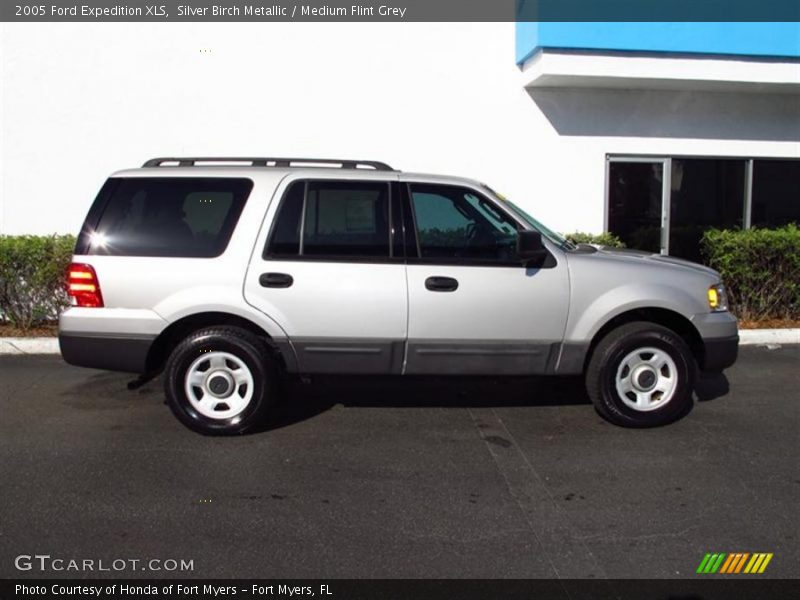  2005 Expedition XLS Silver Birch Metallic