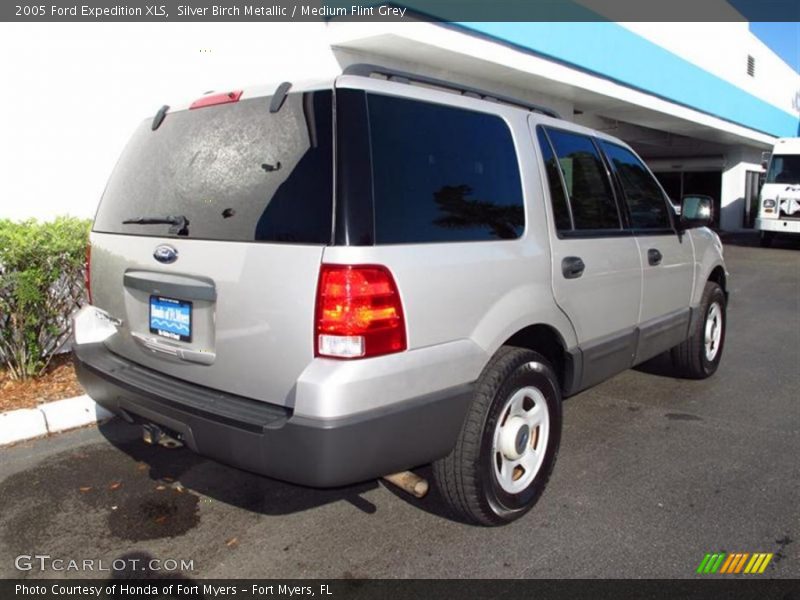 Silver Birch Metallic / Medium Flint Grey 2005 Ford Expedition XLS