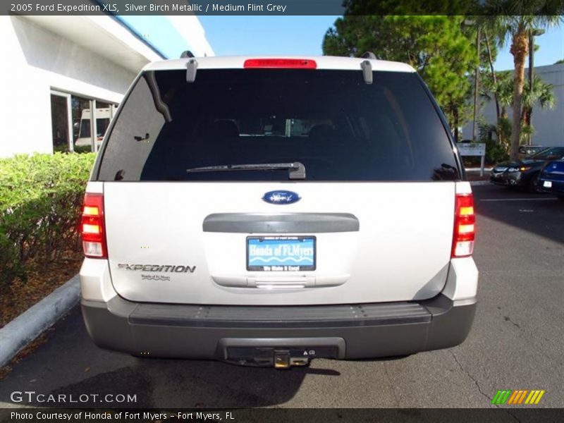 Silver Birch Metallic / Medium Flint Grey 2005 Ford Expedition XLS