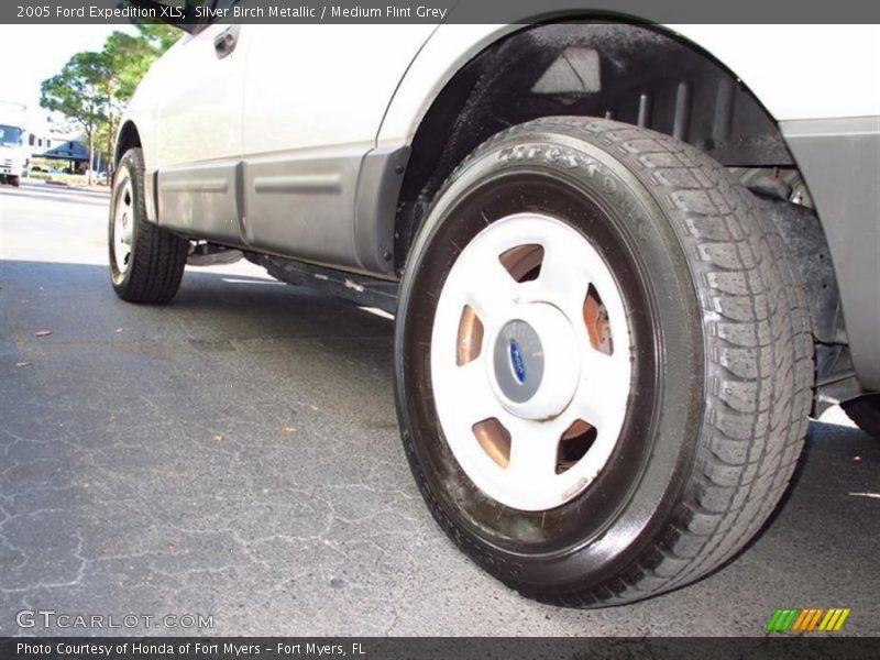 Silver Birch Metallic / Medium Flint Grey 2005 Ford Expedition XLS