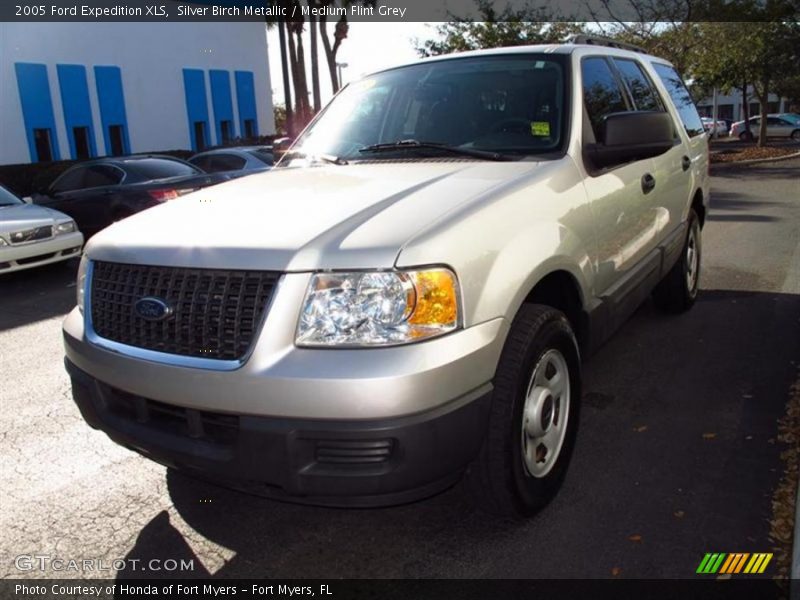 Silver Birch Metallic / Medium Flint Grey 2005 Ford Expedition XLS