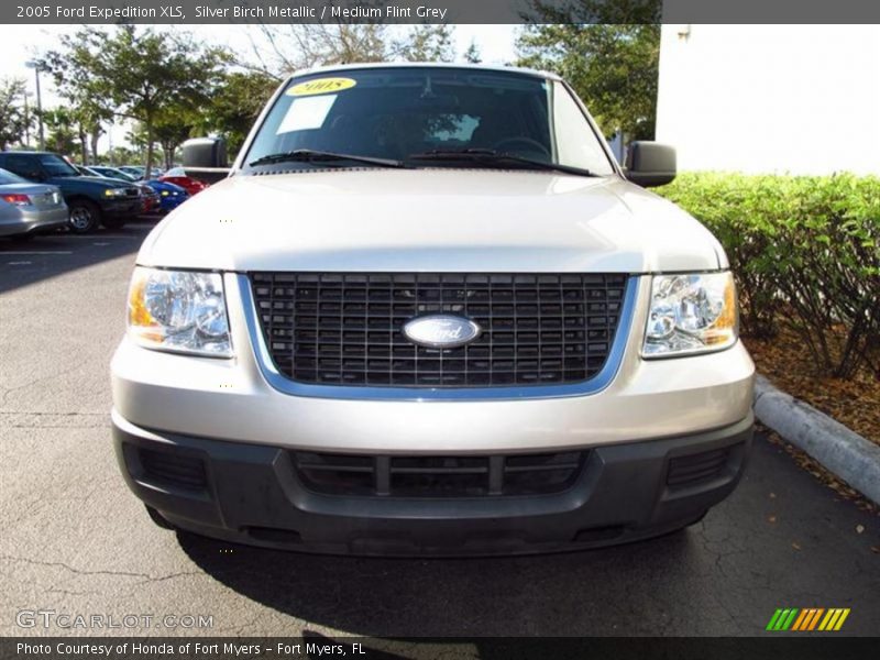 Silver Birch Metallic / Medium Flint Grey 2005 Ford Expedition XLS