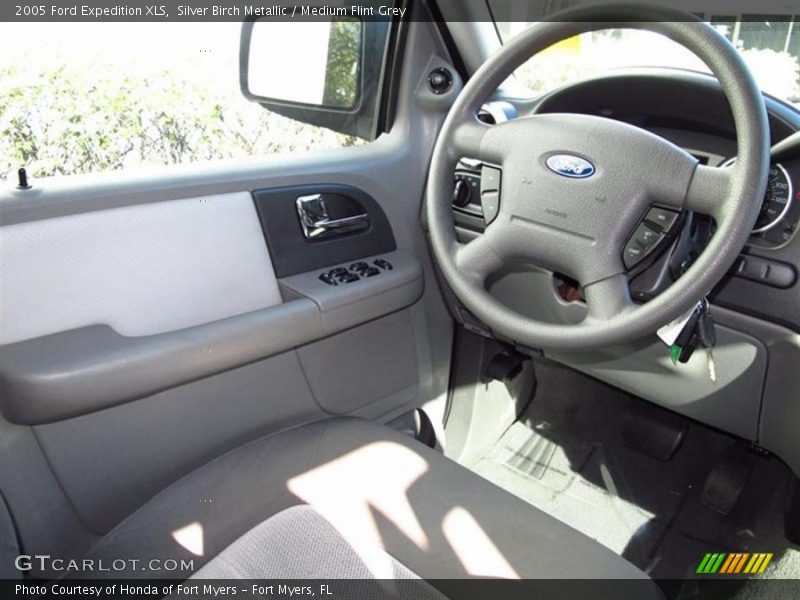 Silver Birch Metallic / Medium Flint Grey 2005 Ford Expedition XLS