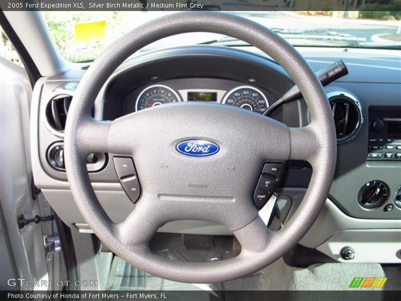 Silver Birch Metallic / Medium Flint Grey 2005 Ford Expedition XLS