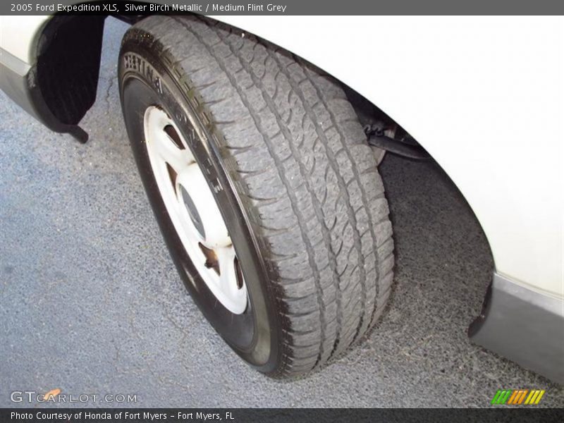 Silver Birch Metallic / Medium Flint Grey 2005 Ford Expedition XLS