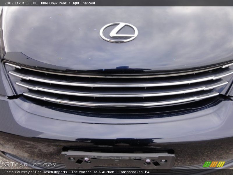 Blue Onyx Pearl / Light Charcoal 2002 Lexus ES 300