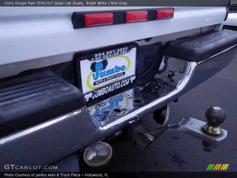 Bright White / Mist Gray 2001 Dodge Ram 3500 SLT Quad Cab Dually