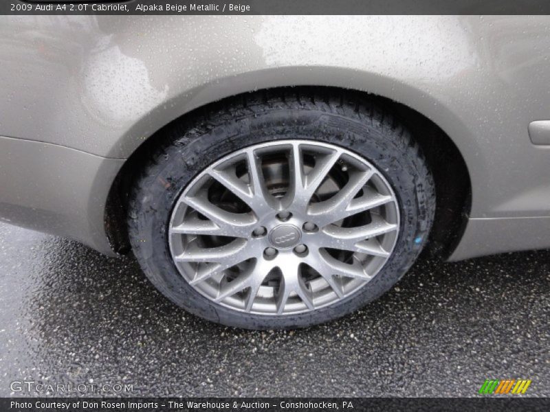 Alpaka Beige Metallic / Beige 2009 Audi A4 2.0T Cabriolet