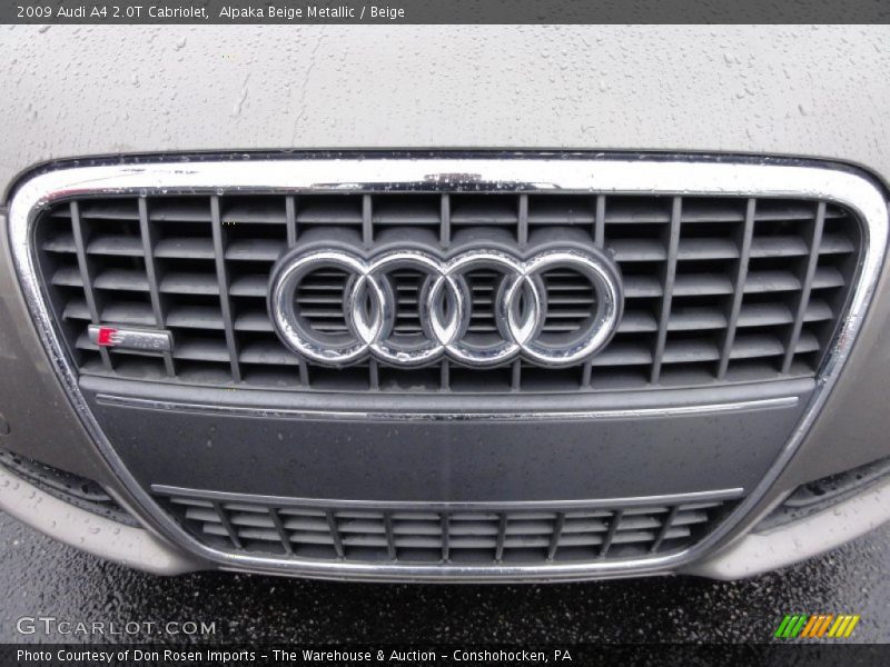 Alpaka Beige Metallic / Beige 2009 Audi A4 2.0T Cabriolet