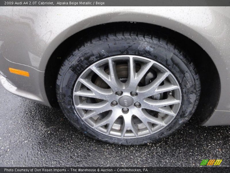 Alpaka Beige Metallic / Beige 2009 Audi A4 2.0T Cabriolet