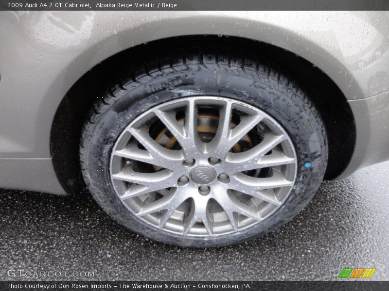 Alpaka Beige Metallic / Beige 2009 Audi A4 2.0T Cabriolet