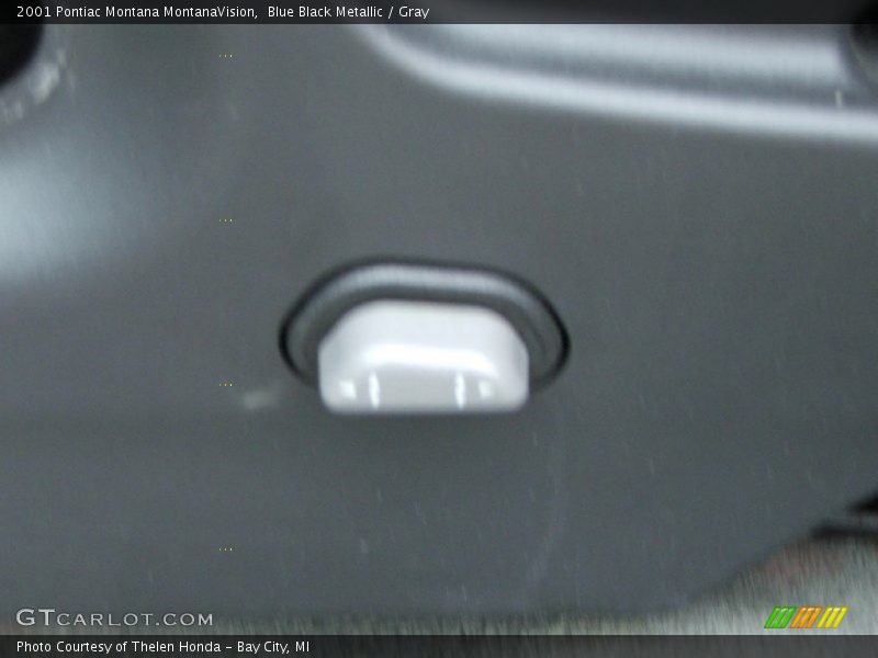 Blue Black Metallic / Gray 2001 Pontiac Montana MontanaVision