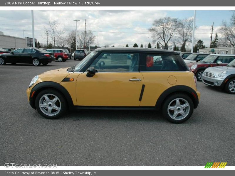Mellow Yellow / Black/Grey 2009 Mini Cooper Hardtop