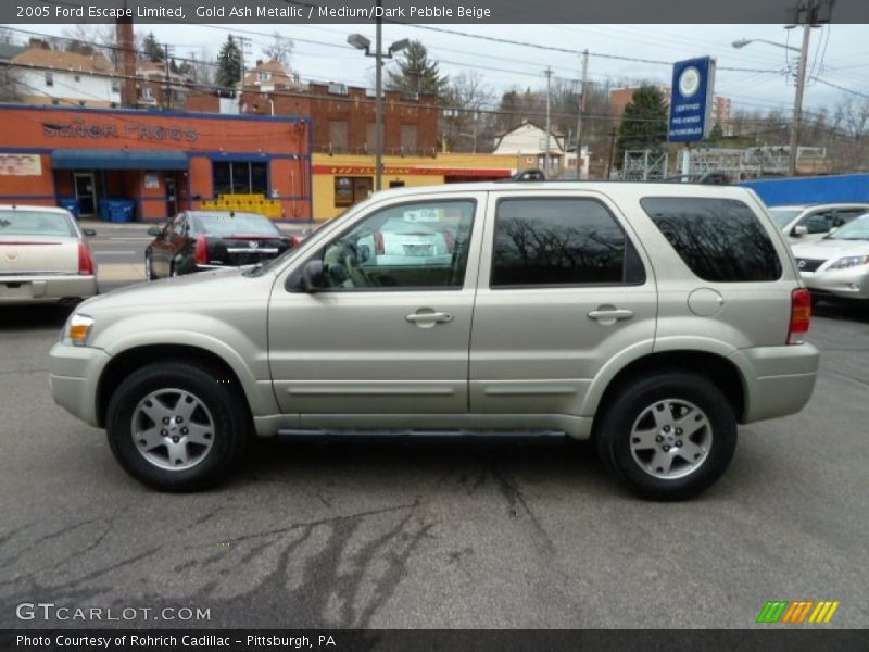 Gold Ash Metallic / Medium/Dark Pebble Beige 2005 Ford Escape Limited