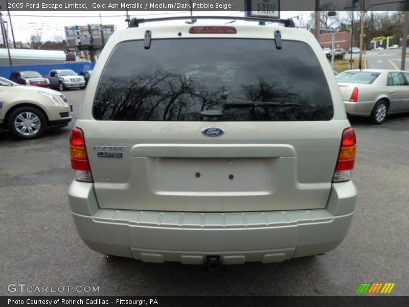 Gold Ash Metallic / Medium/Dark Pebble Beige 2005 Ford Escape Limited