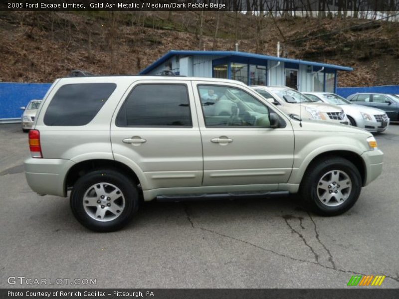 Gold Ash Metallic / Medium/Dark Pebble Beige 2005 Ford Escape Limited