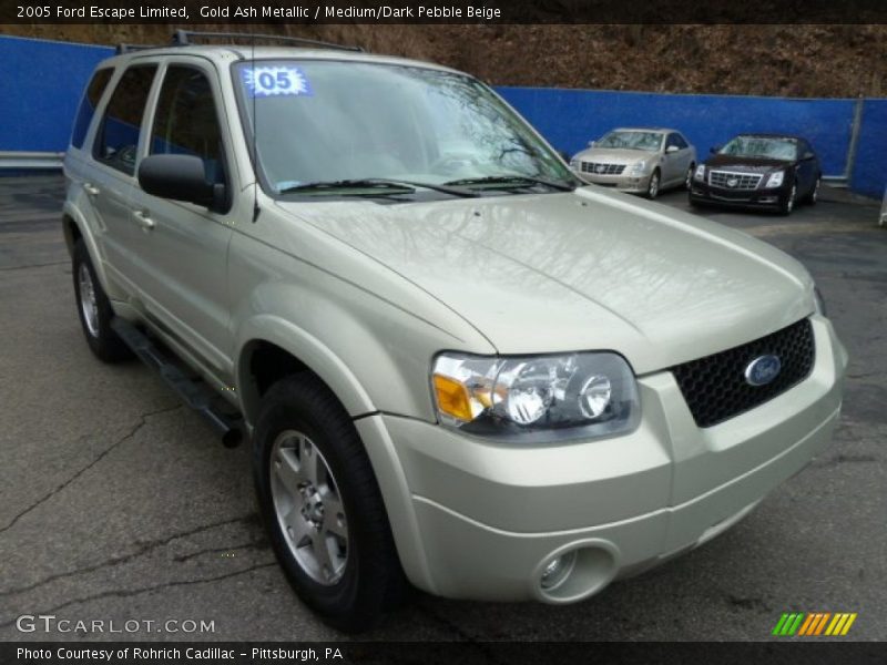Gold Ash Metallic / Medium/Dark Pebble Beige 2005 Ford Escape Limited