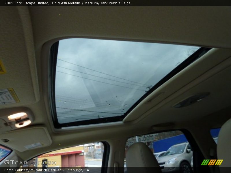Gold Ash Metallic / Medium/Dark Pebble Beige 2005 Ford Escape Limited