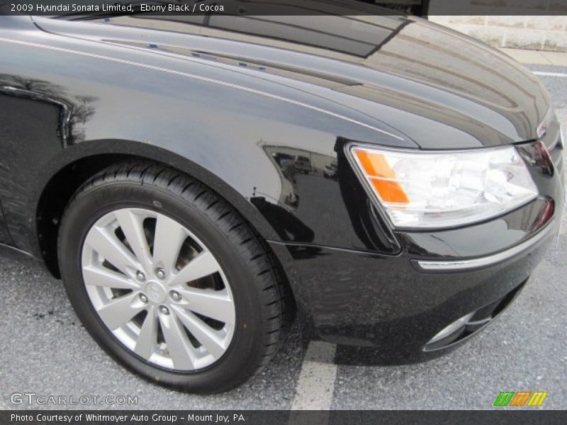 Ebony Black / Cocoa 2009 Hyundai Sonata Limited