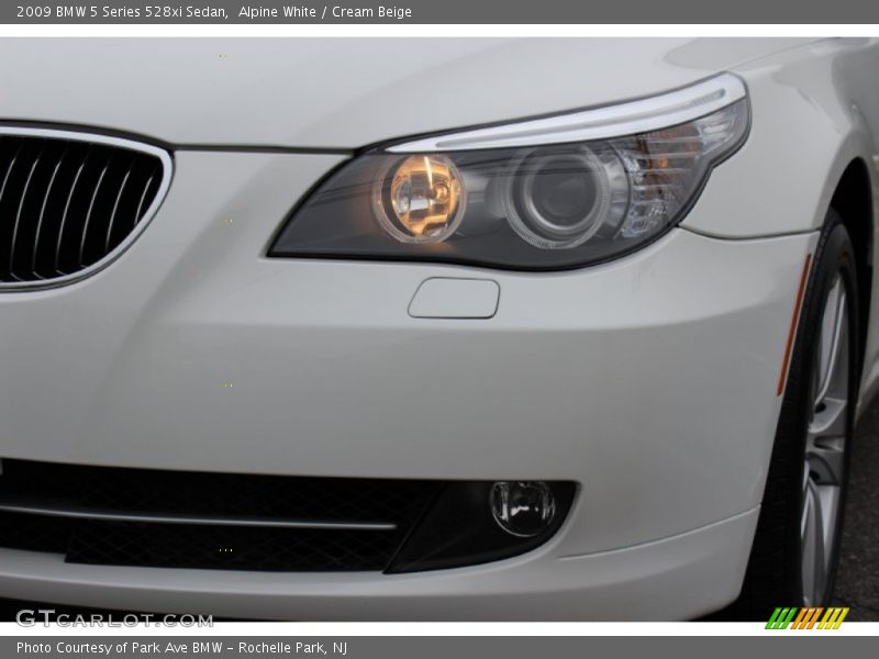 Alpine White / Cream Beige 2009 BMW 5 Series 528xi Sedan