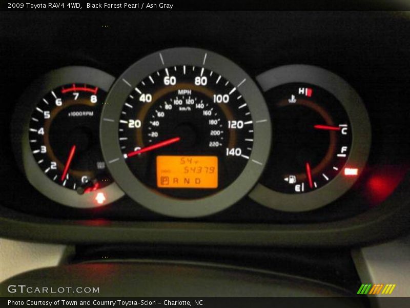 Black Forest Pearl / Ash Gray 2009 Toyota RAV4 4WD