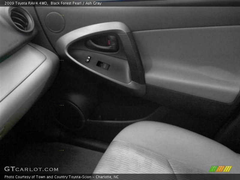 Black Forest Pearl / Ash Gray 2009 Toyota RAV4 4WD