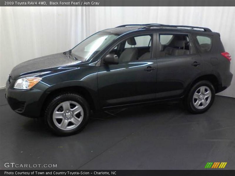 Black Forest Pearl / Ash Gray 2009 Toyota RAV4 4WD