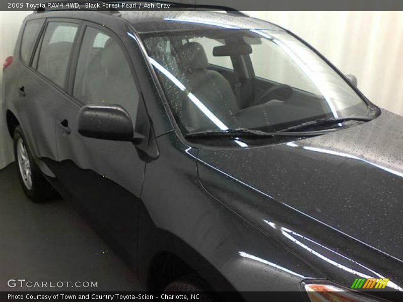 Black Forest Pearl / Ash Gray 2009 Toyota RAV4 4WD