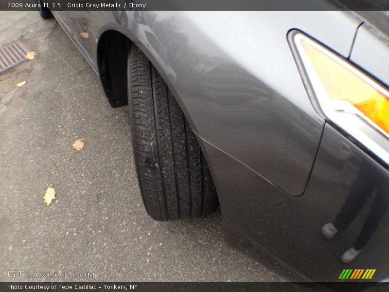 Grigio Gray Metallic / Ebony 2009 Acura TL 3.5