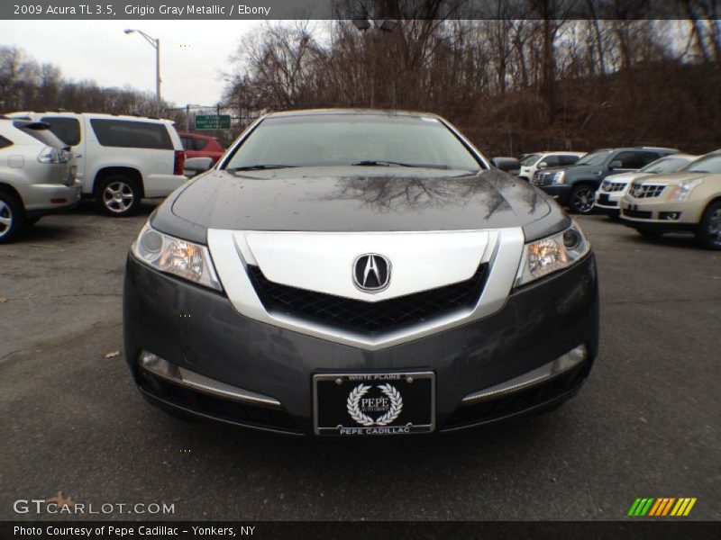 Grigio Gray Metallic / Ebony 2009 Acura TL 3.5