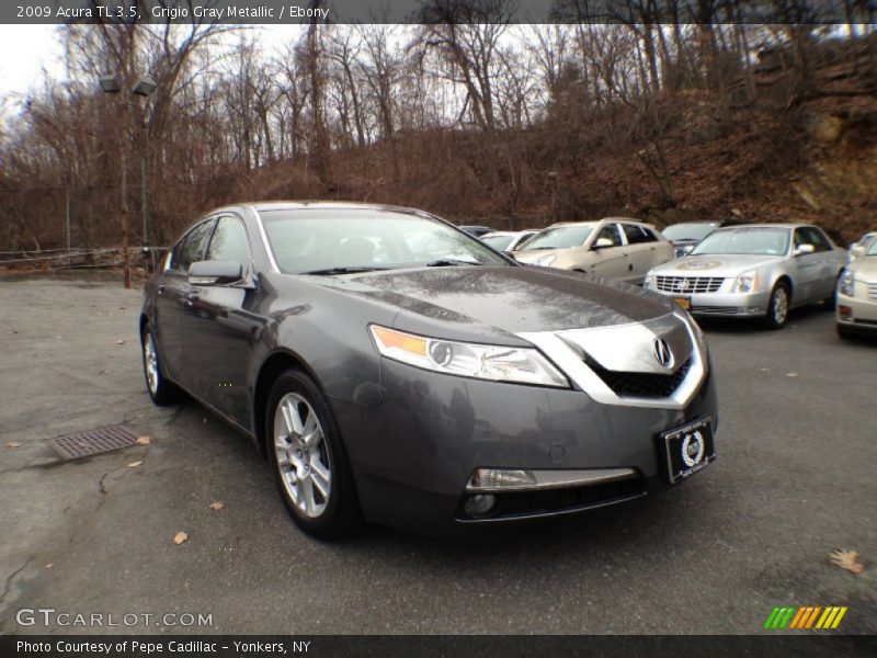 Grigio Gray Metallic / Ebony 2009 Acura TL 3.5