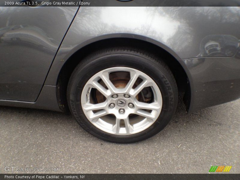 Grigio Gray Metallic / Ebony 2009 Acura TL 3.5