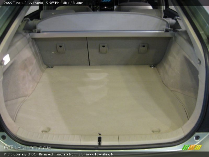 Silver Pine Mica / Bisque 2009 Toyota Prius Hybrid