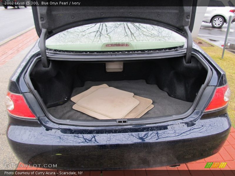 Blue Onyx Pearl / Ivory 2002 Lexus ES 300