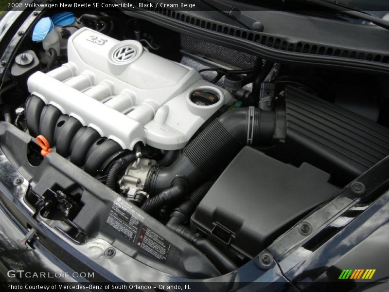 Black / Cream Beige 2008 Volkswagen New Beetle SE Convertible