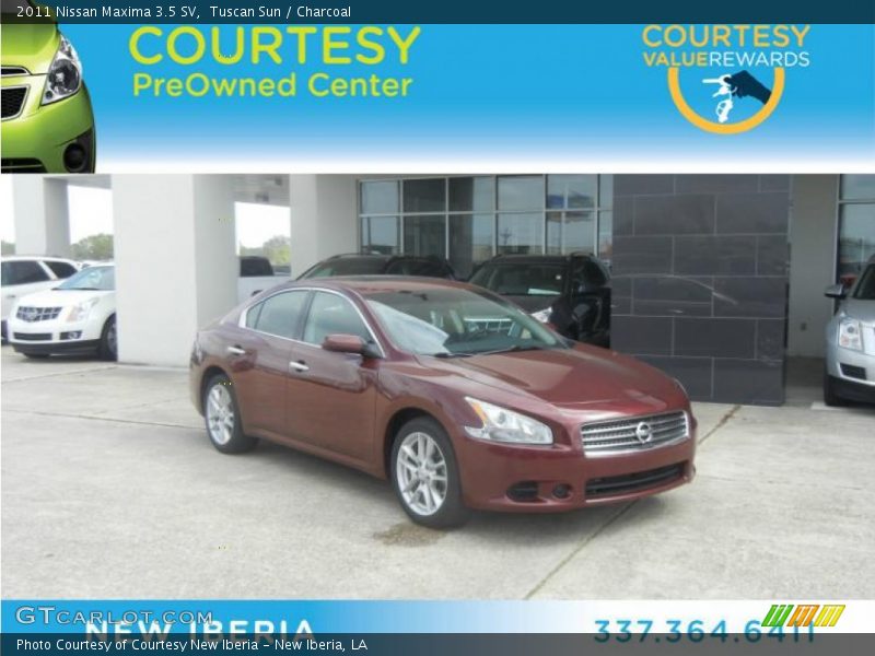 Tuscan Sun / Charcoal 2011 Nissan Maxima 3.5 SV