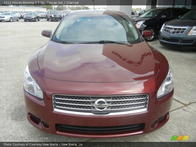 Tuscan Sun / Charcoal 2011 Nissan Maxima 3.5 SV