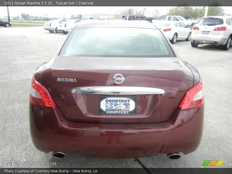 Tuscan Sun / Charcoal 2011 Nissan Maxima 3.5 SV