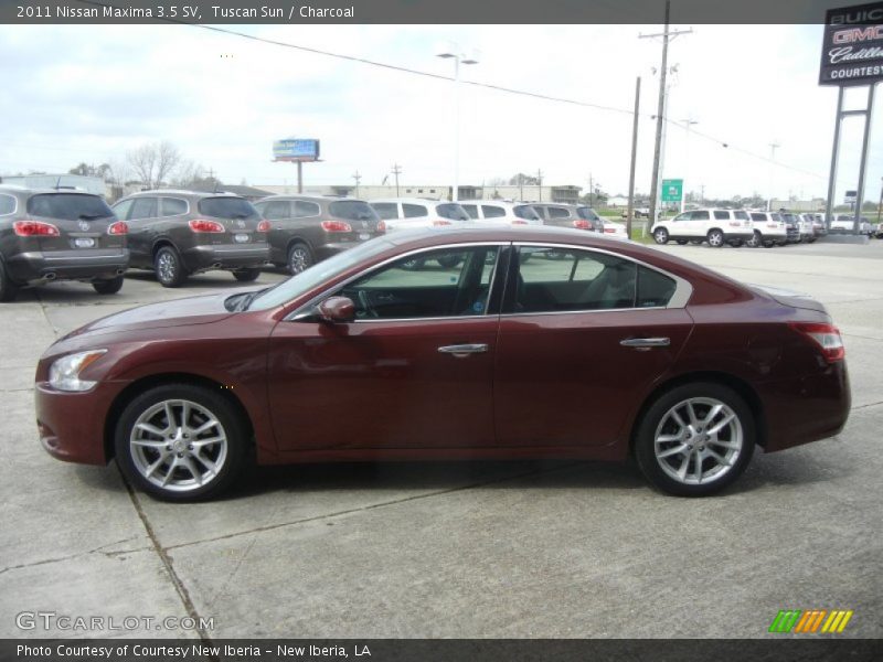 Tuscan Sun / Charcoal 2011 Nissan Maxima 3.5 SV