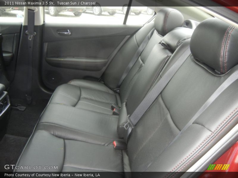 Tuscan Sun / Charcoal 2011 Nissan Maxima 3.5 SV