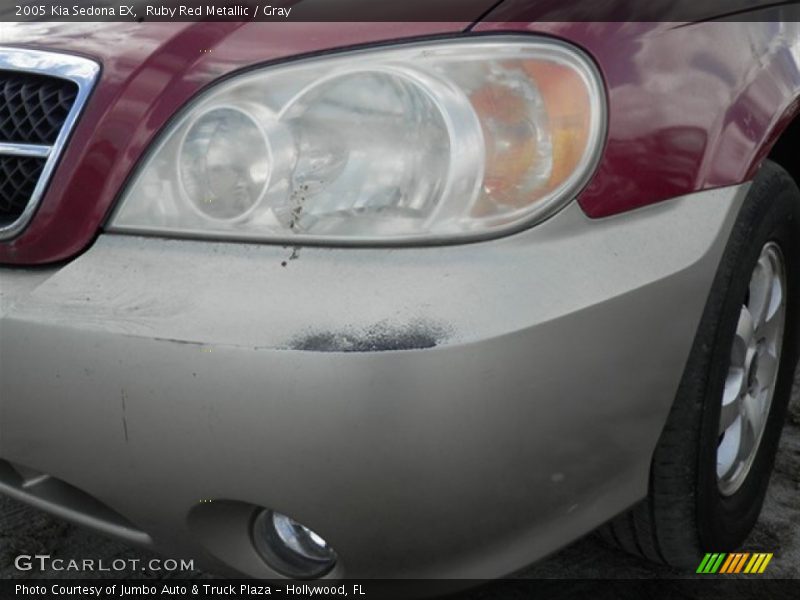 Ruby Red Metallic / Gray 2005 Kia Sedona EX