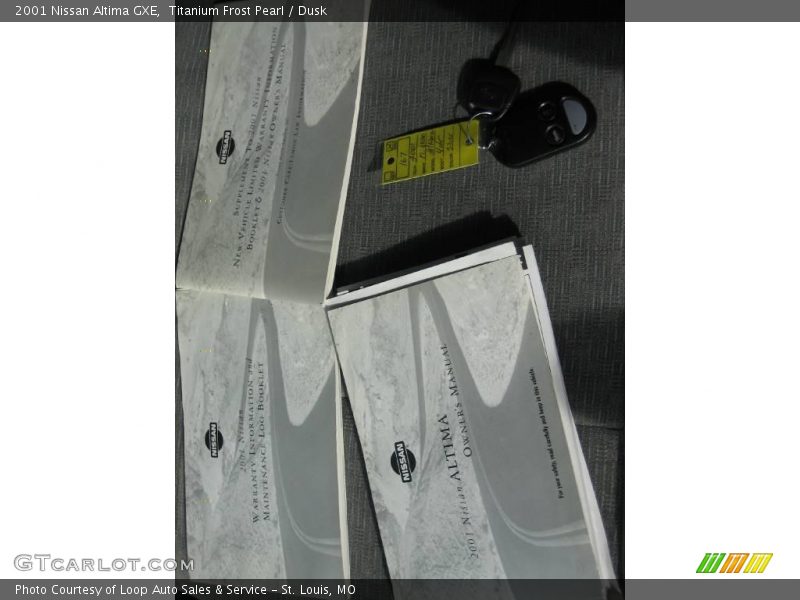 Titanium Frost Pearl / Dusk 2001 Nissan Altima GXE