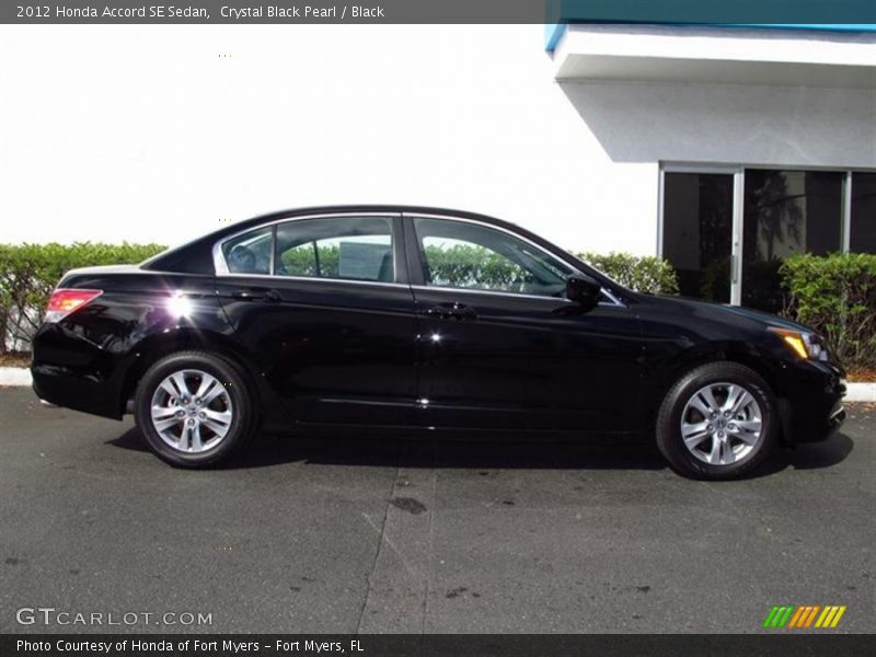 Crystal Black Pearl / Black 2012 Honda Accord SE Sedan